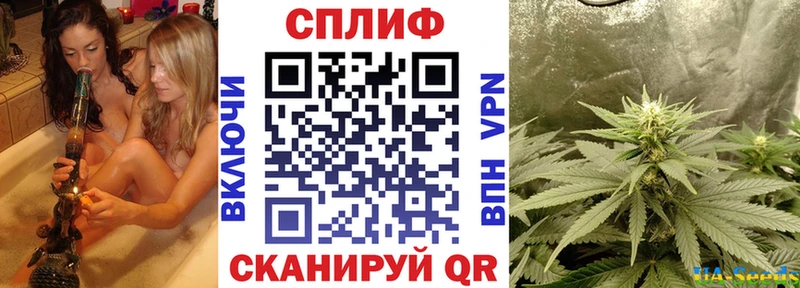 Шишки марихуана гибрид  MEGA как зайти  Элиста 
